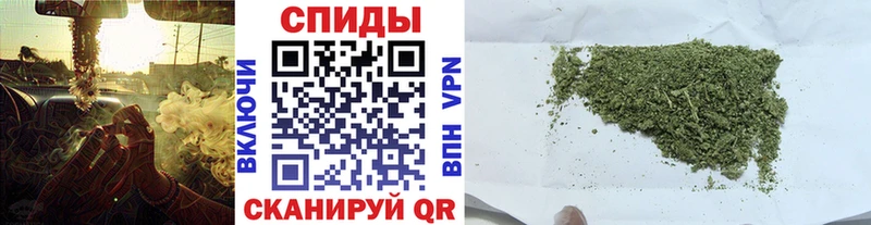 Купить закладки  Новозыбков  Бутират бутандиол 