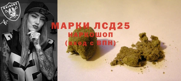 гидра Володарск