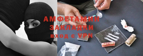 гидра Володарск