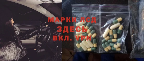 гидра Володарск