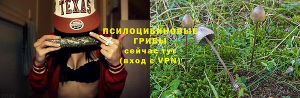гидра Володарск