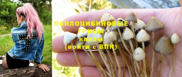 гидра Володарск