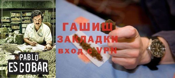 гидра Володарск
