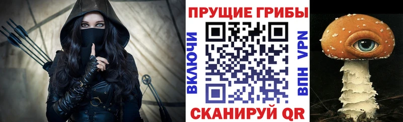 Псилоцибиновые грибы MAGIC MUSHROOMS  Купить  Новозыбков 